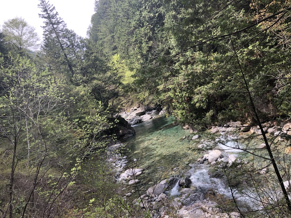 エメラルドグリーンの流れの写真7