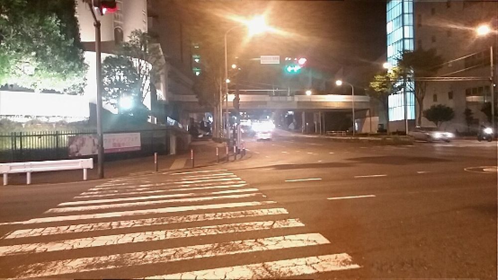 【横浜センター南】トトロに会いに行ける！？の写真3