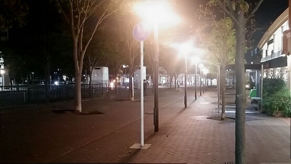 【横浜センター南】トトロに会いに行ける！？の写真4