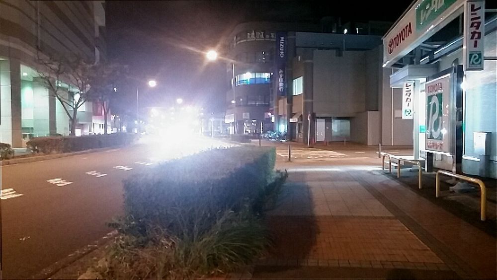 【横浜センター南】トトロに会いに行ける！？の写真5