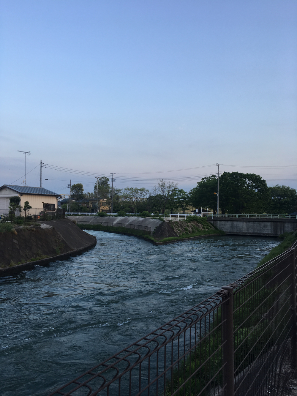 俺の武州藍染ハーフマラソンの写真3