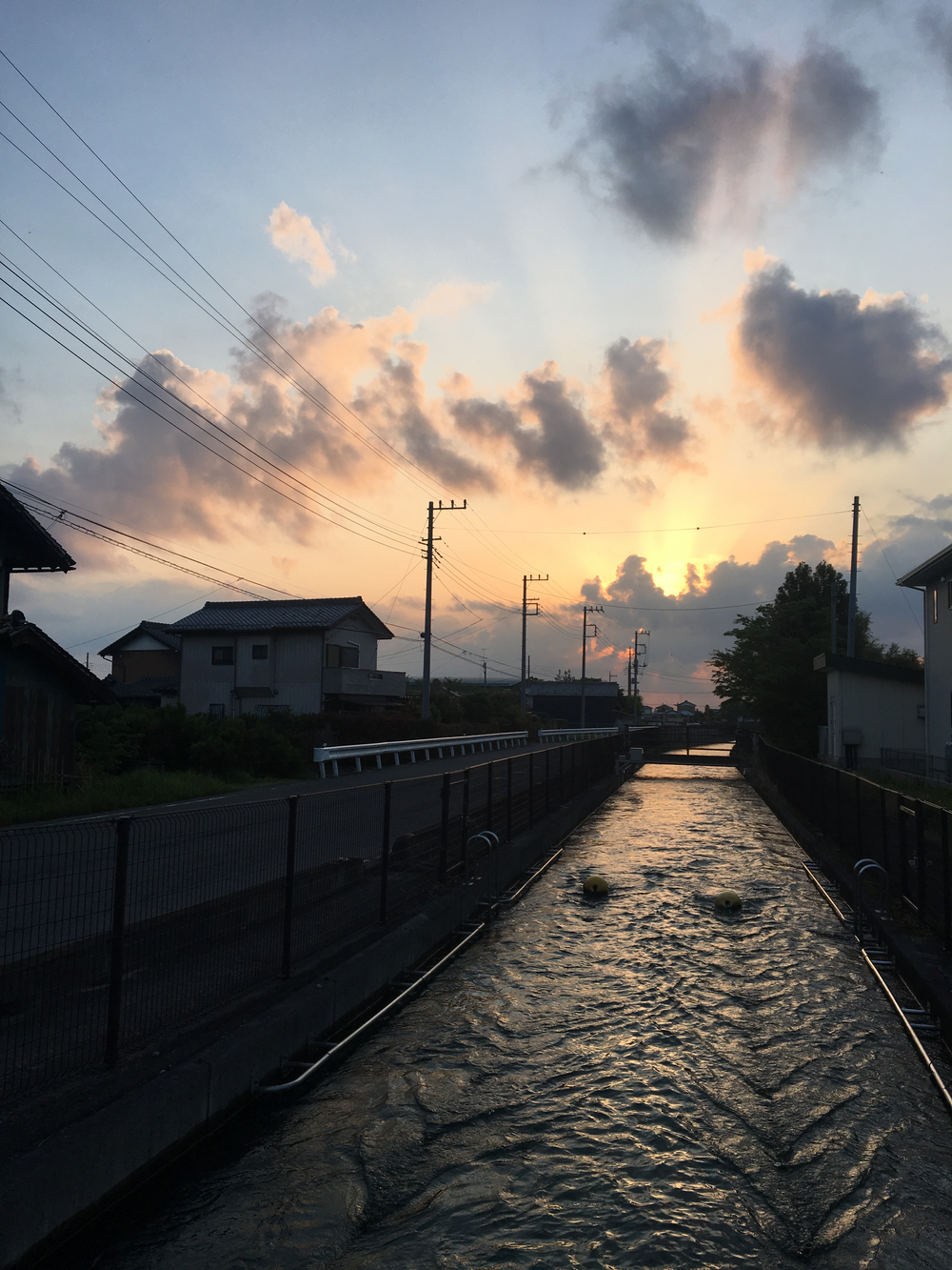 俺の武州藍染ハーフマラソンの写真4