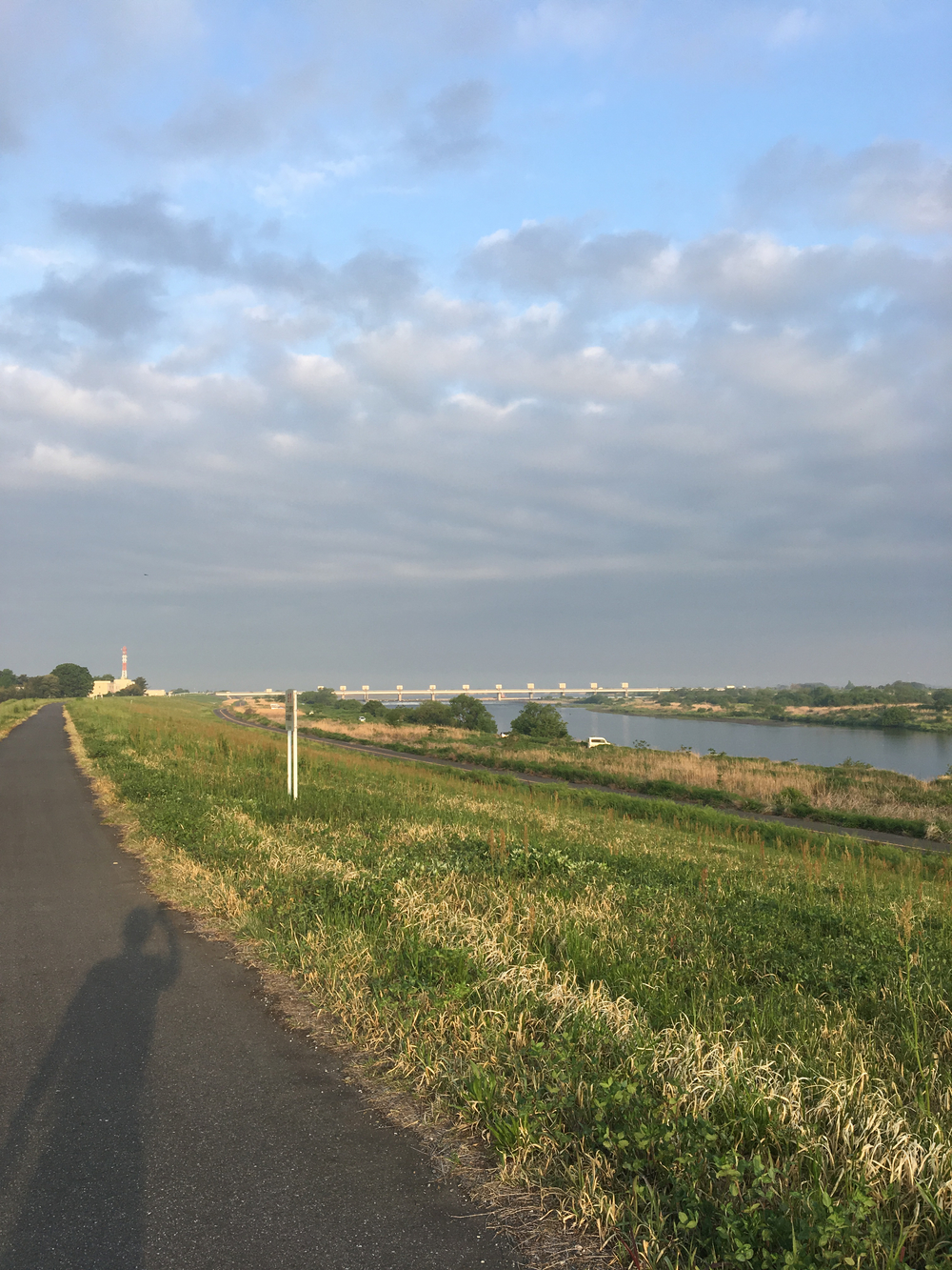 俺の武州藍染ハーフマラソンの写真5