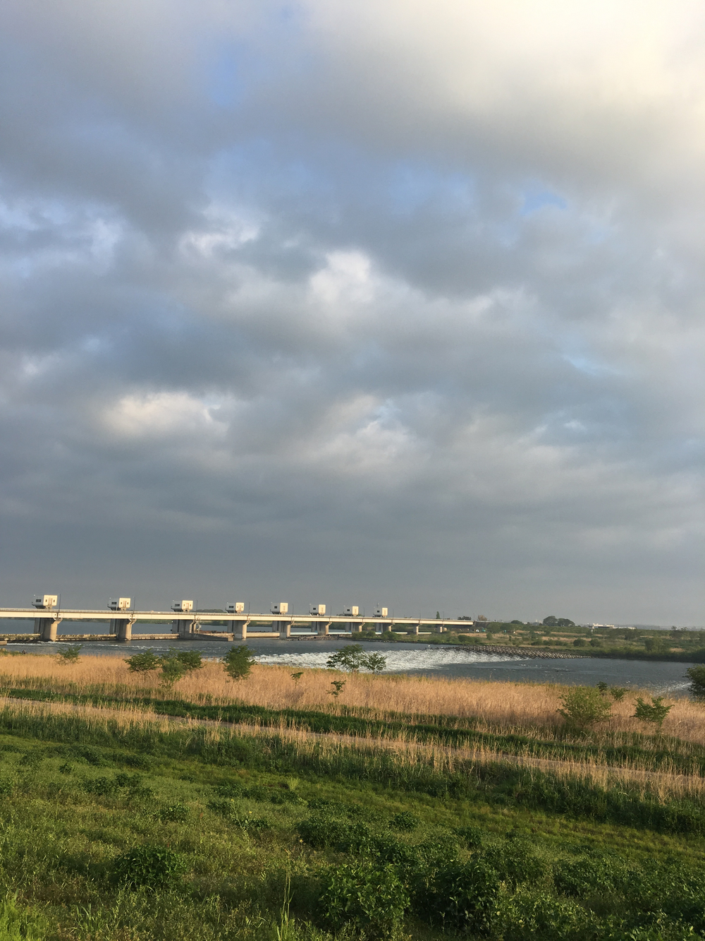 俺の武州藍染ハーフマラソンの写真6