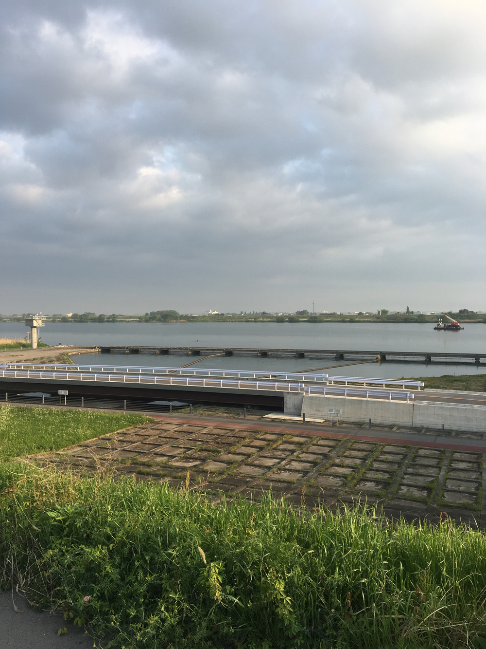 俺の武州藍染ハーフマラソンの写真8