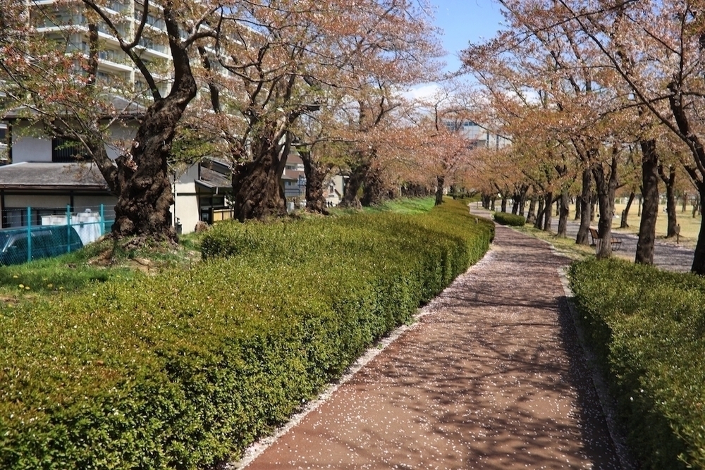 1周2.2km・開成山公園周回コースの写真4