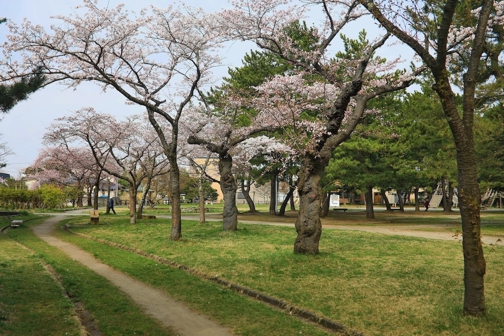 青森駅周辺10km往復コースの写真5
