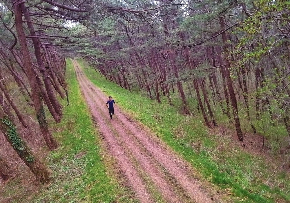 風の松原のトリム+クロスカントリーコースの写真4