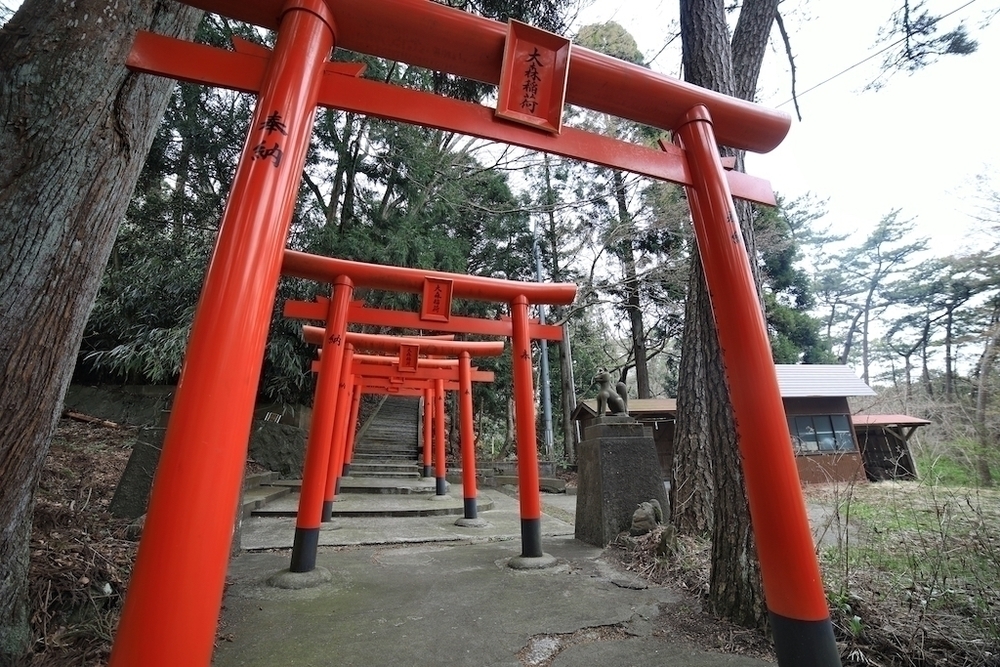 風の松原のトリム+クロスカントリーコースの写真7