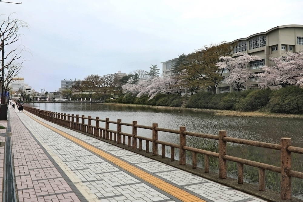 千秋公園・久保田城址散策ランコースの写真3