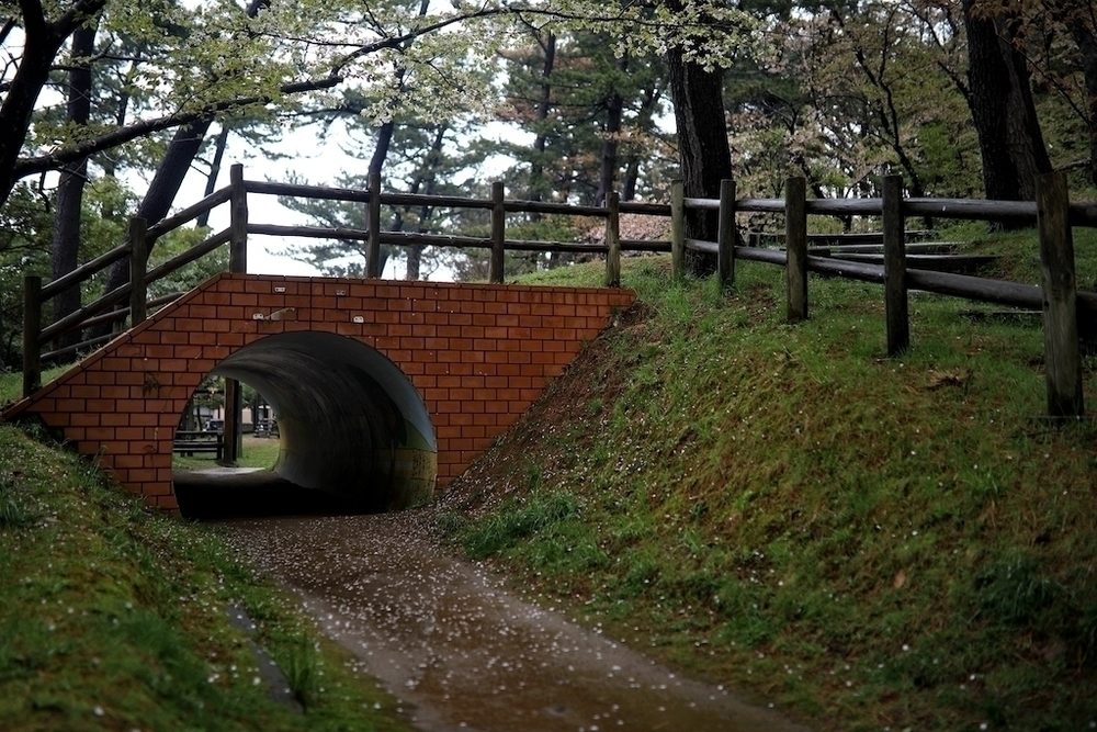 山居倉庫・酒田観光ランコースの写真3