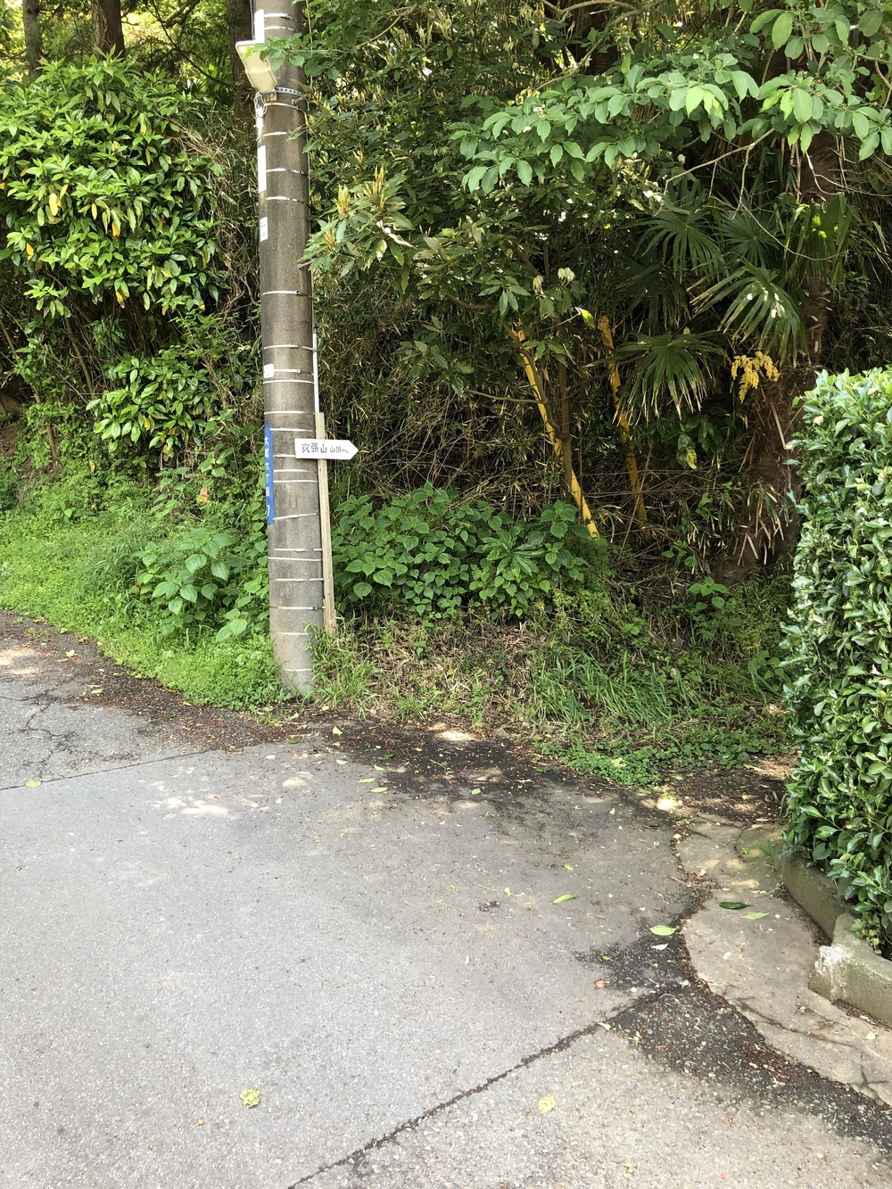 鎌倉「海街diary」トレイル&ランの写真3