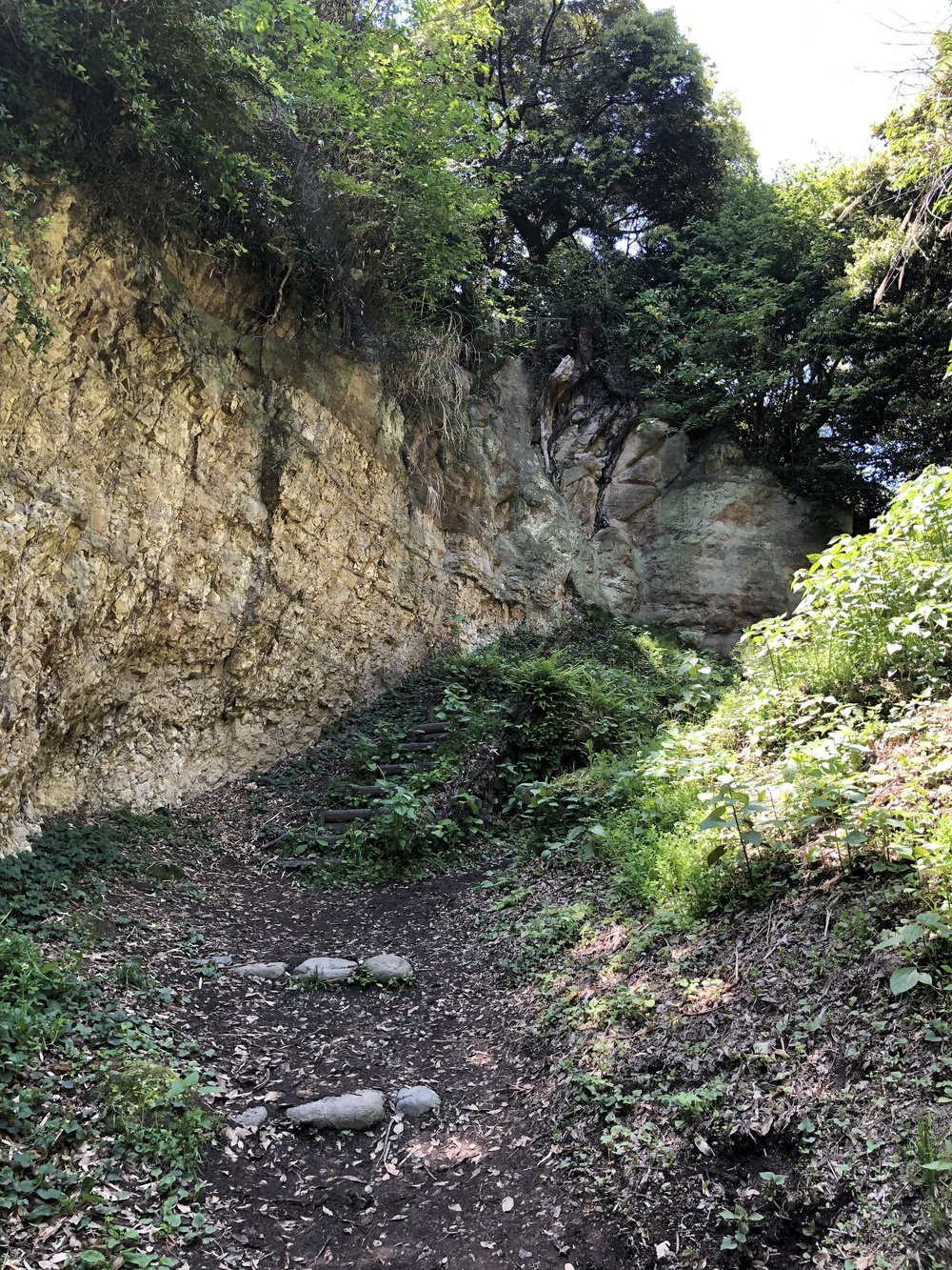 鎌倉「海街diary」トレイル&ランの写真5