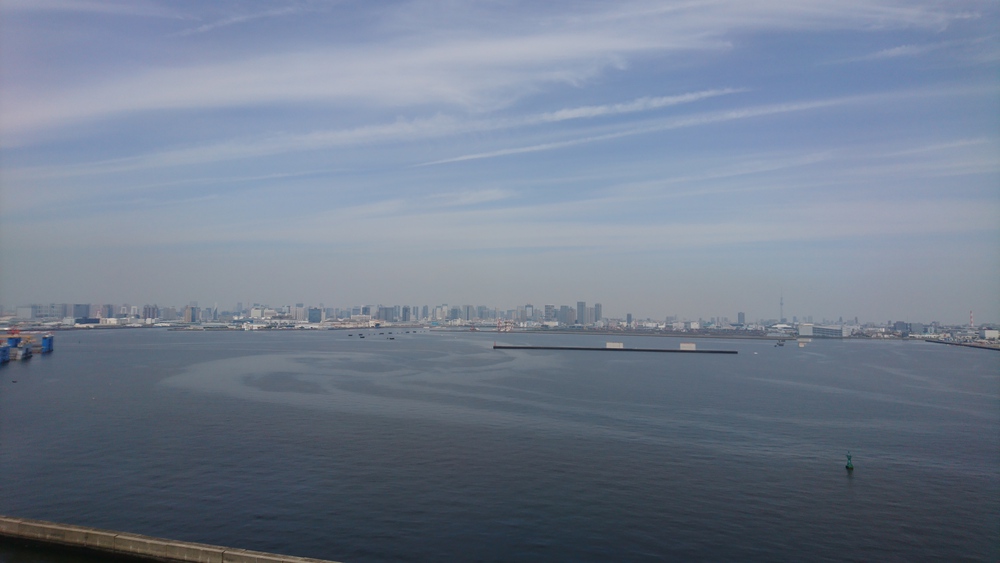 東京ゲートブリッジピストン～レインボーブリッジの写真3