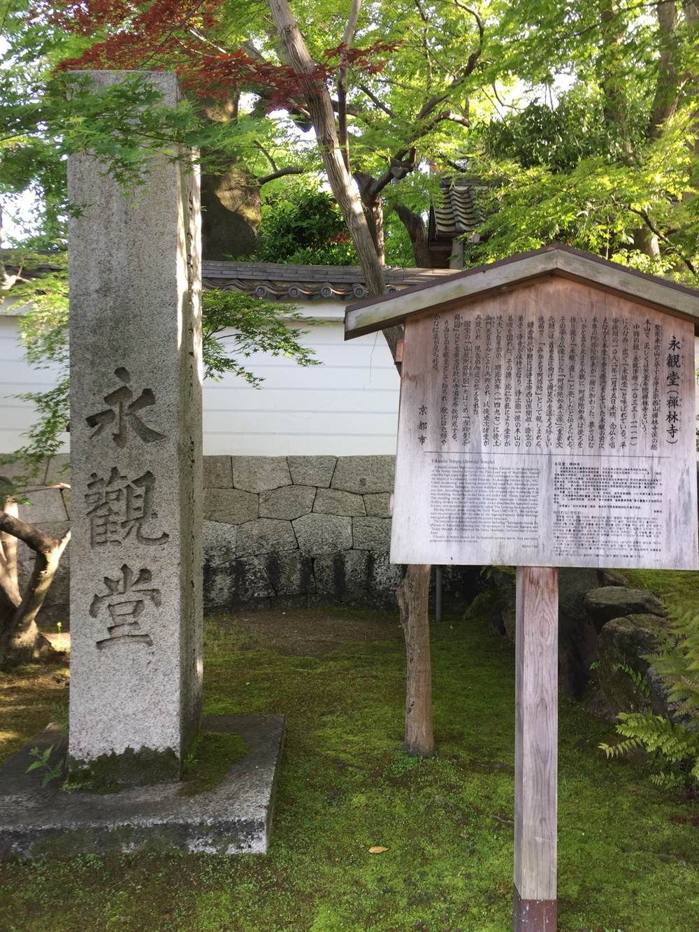 新緑の京都、東山エリアの写真4