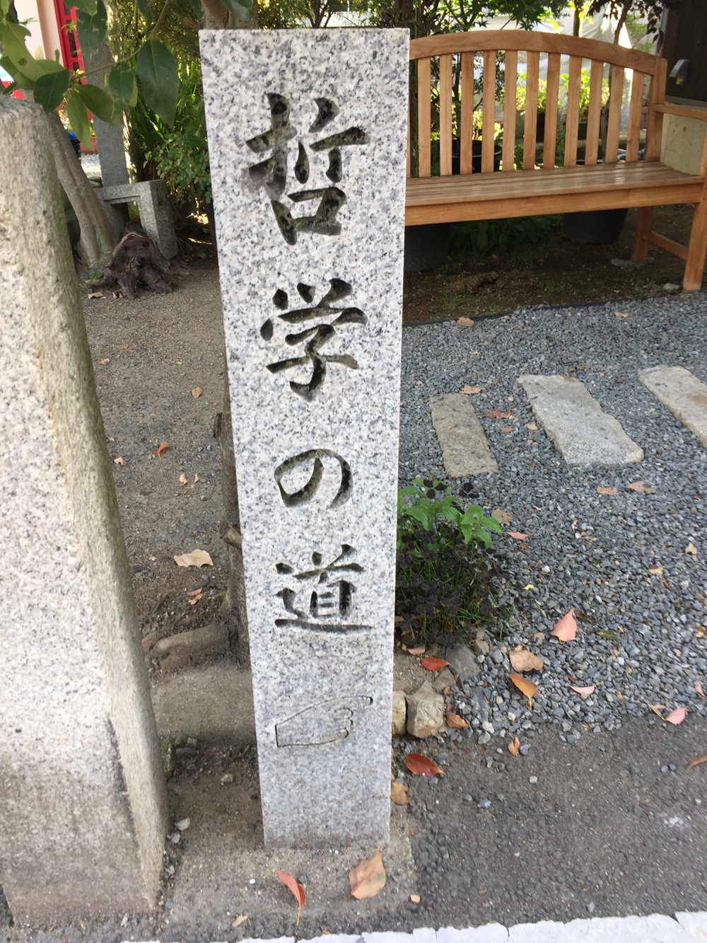 新緑の京都、東山エリアの写真5