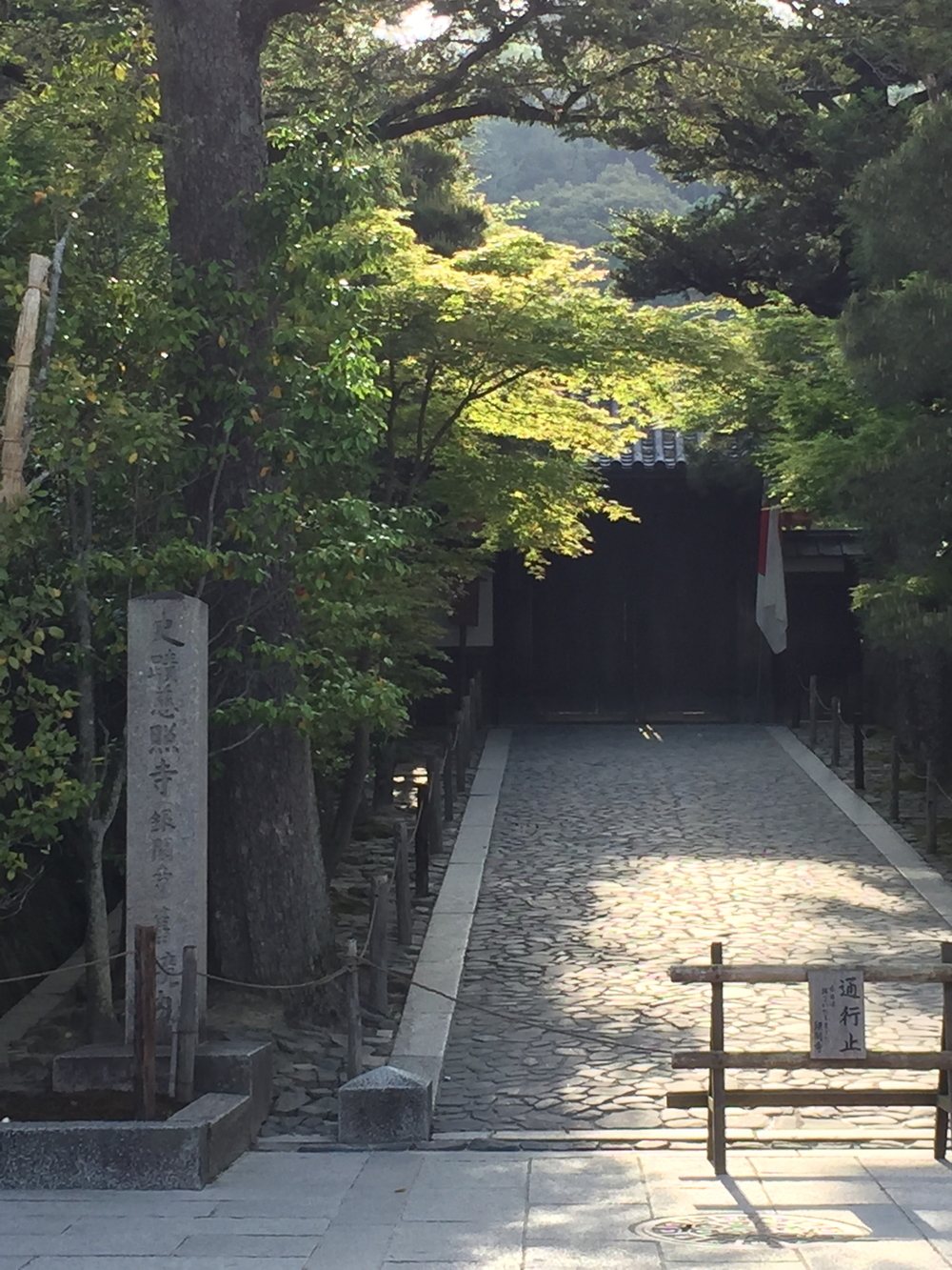 新緑の京都、東山エリアの写真7