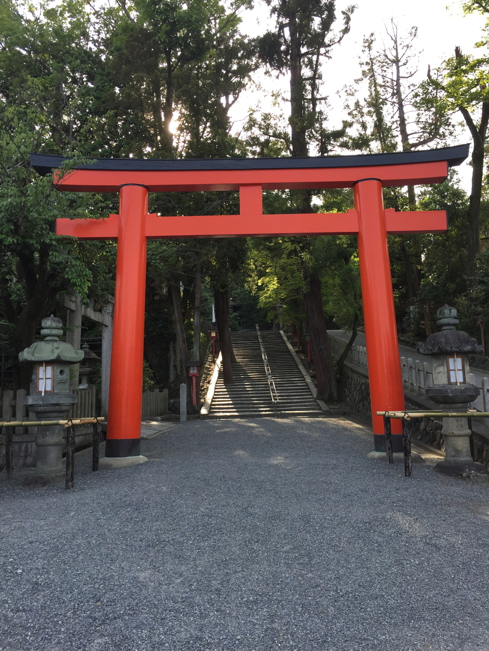 新緑の京都、東山エリアの写真8