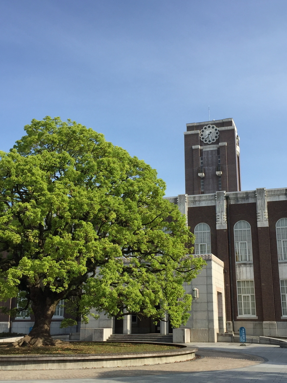 新緑の京都、東山エリアの写真9