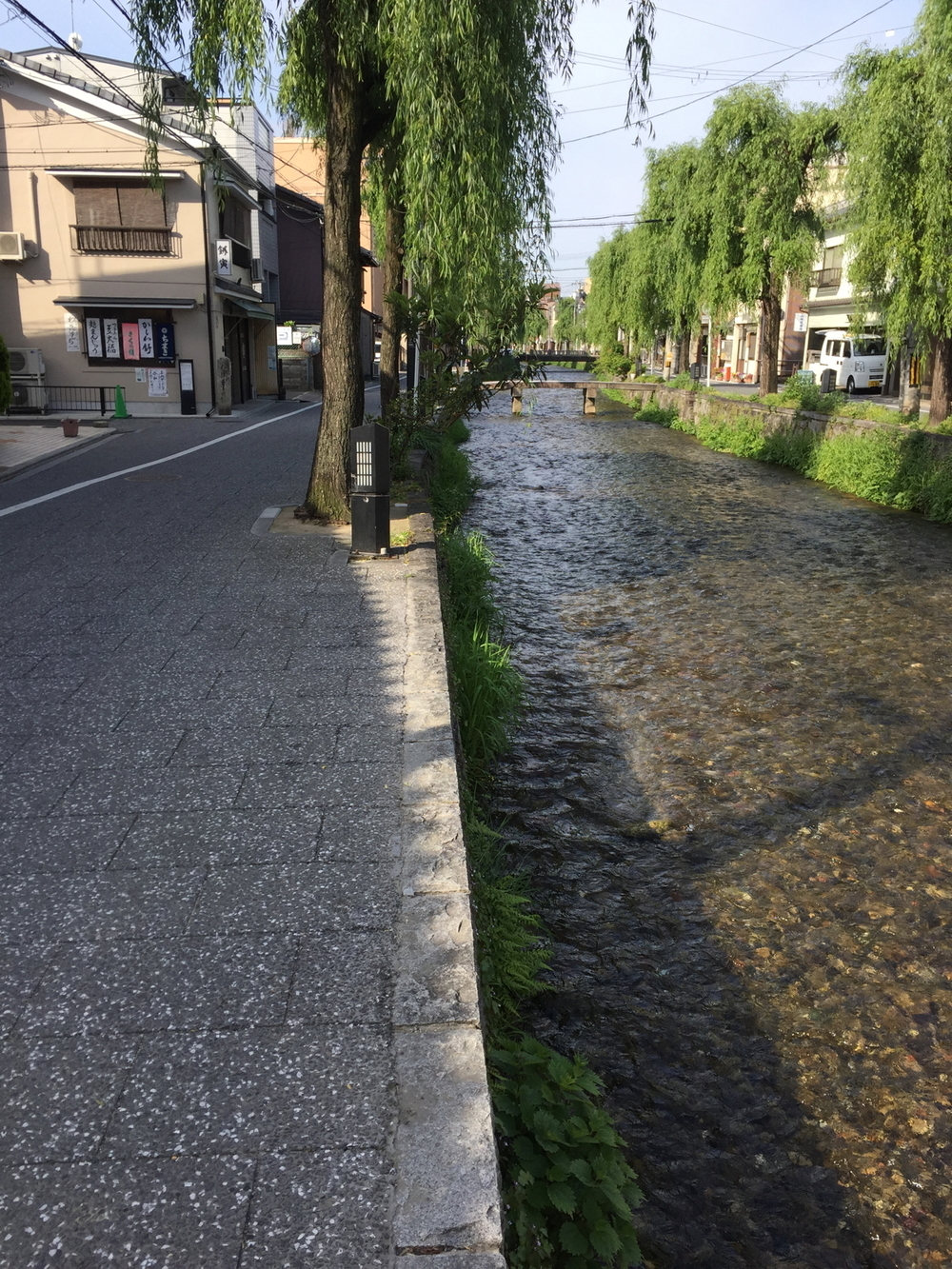 新緑の京都、東山エリアの写真10