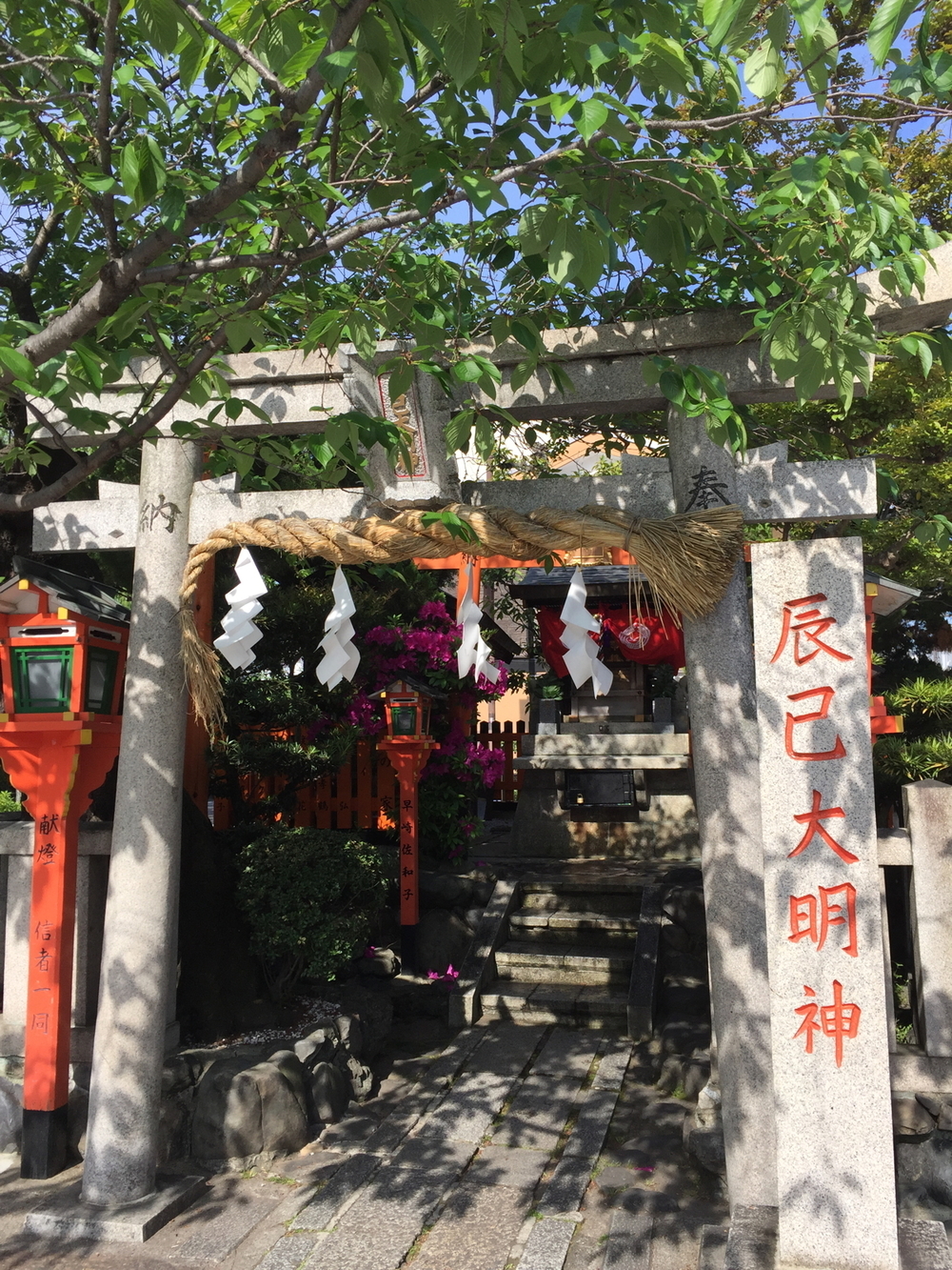 新緑の京都、東山エリアの写真14