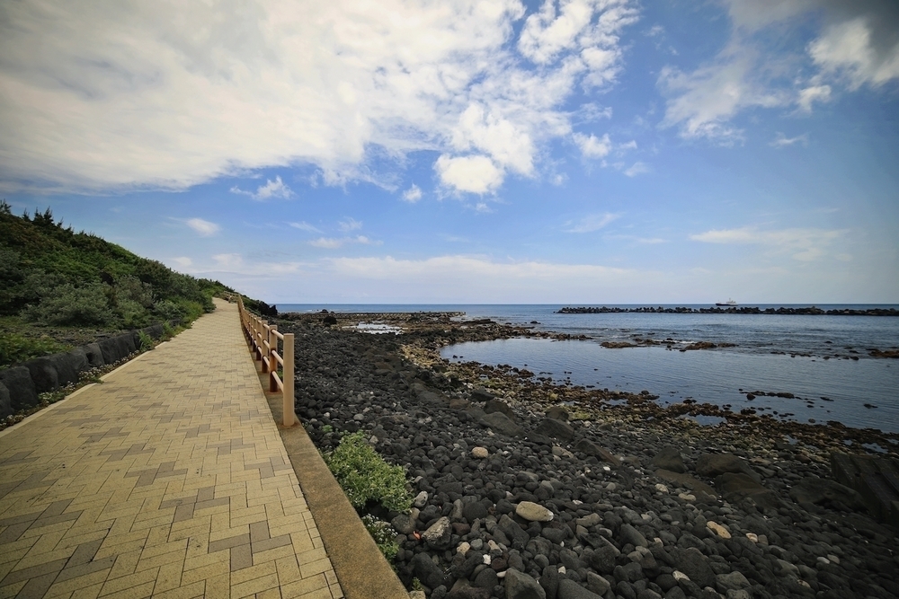 1周22.7km・八丈島半周コースの写真3