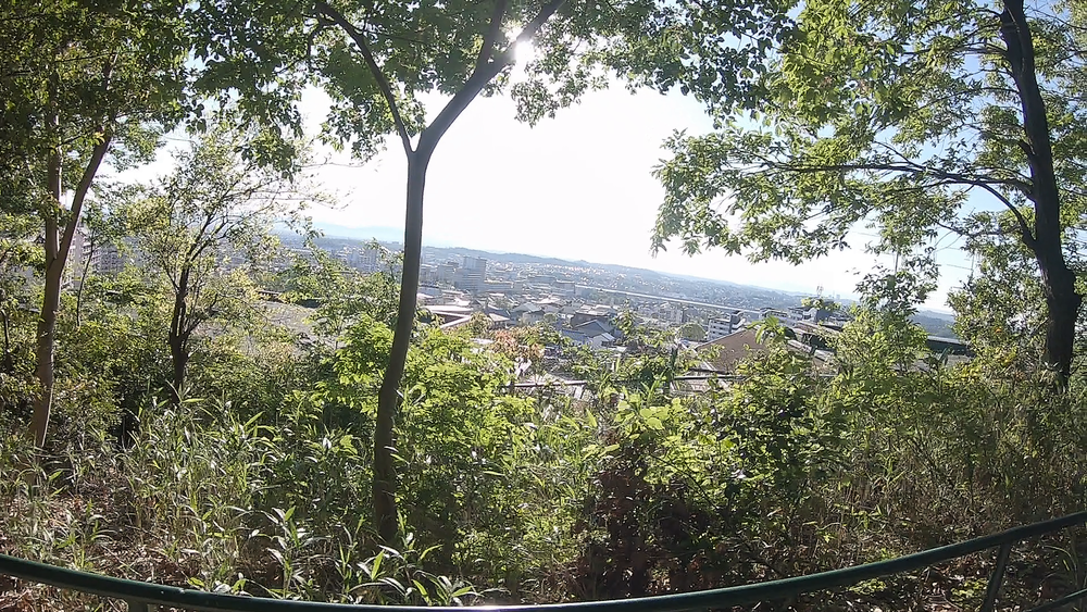 【名古屋】新緑がまぶしい！5月の東山一万歩コースの写真3