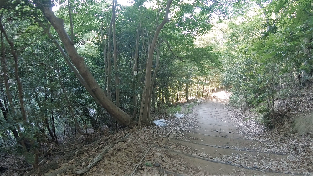 【名古屋】新緑がまぶしい！5月の東山一万歩コースの写真4