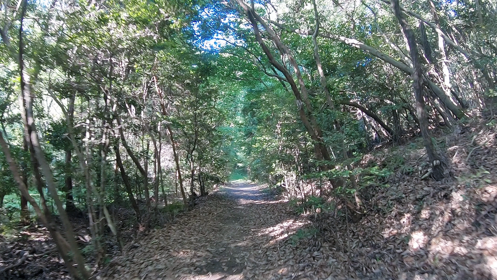 【名古屋】新緑がまぶしい！5月の東山一万歩コースの写真6