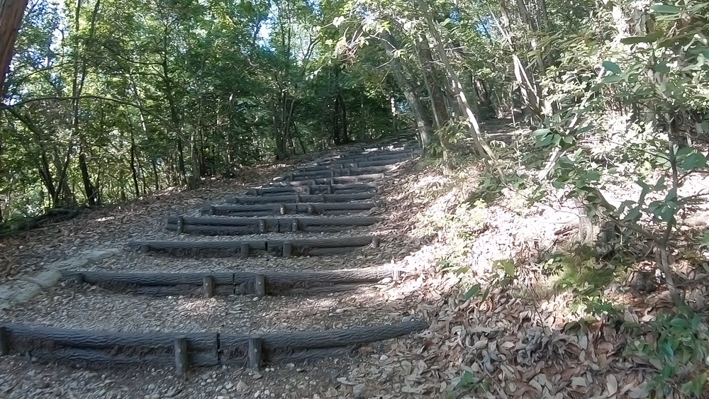 【名古屋】新緑がまぶしい！5月の東山一万歩コースの写真7