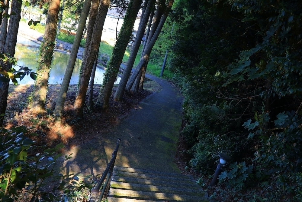 恋路海岸・見附島往復コースの写真3