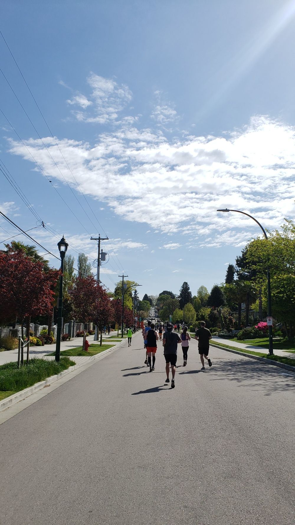 美しいバンクーバーの街を走り抜ける何ともタフなコースの写真6