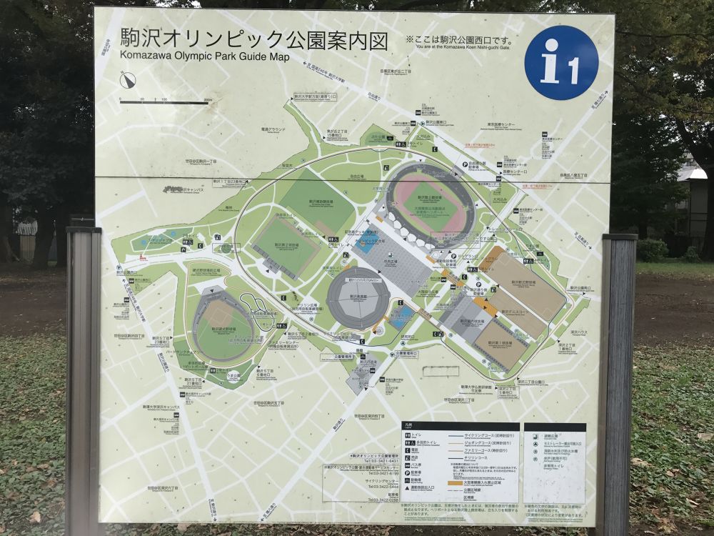 駒沢公園周回ラン定番だけどやっぱりいいの写真3