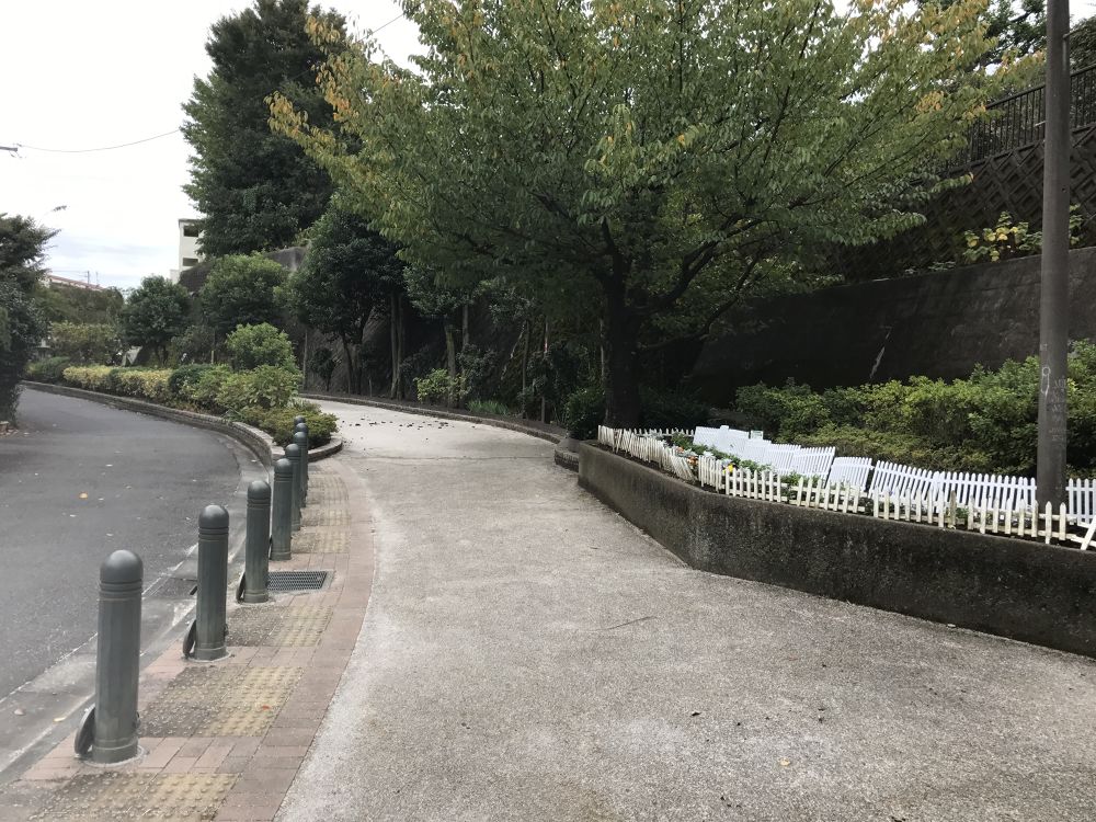 松陰神社前 烏山通り〜若林公園の坂の写真5