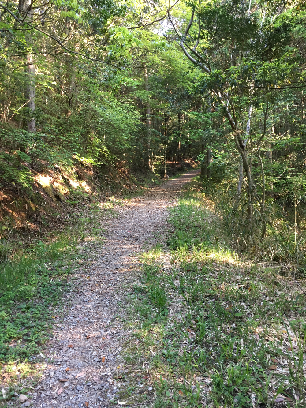 有馬富士でトレイルランニングの写真3