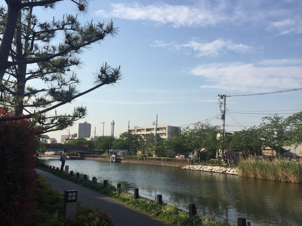 新川千本桜周回コースの写真3