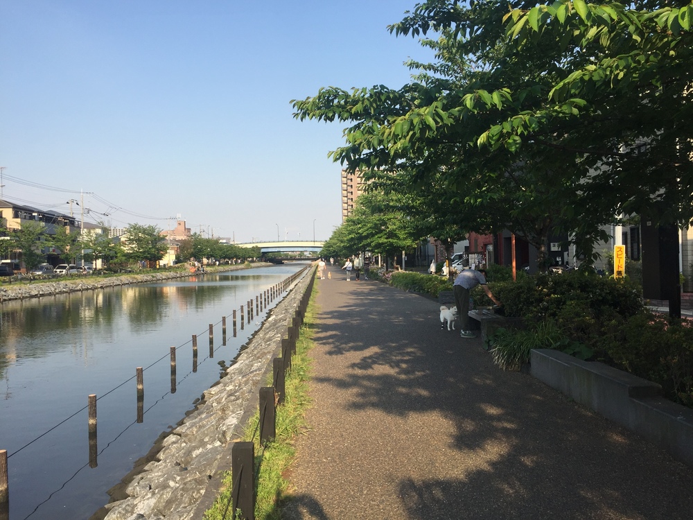 新川千本桜周回コースの写真5