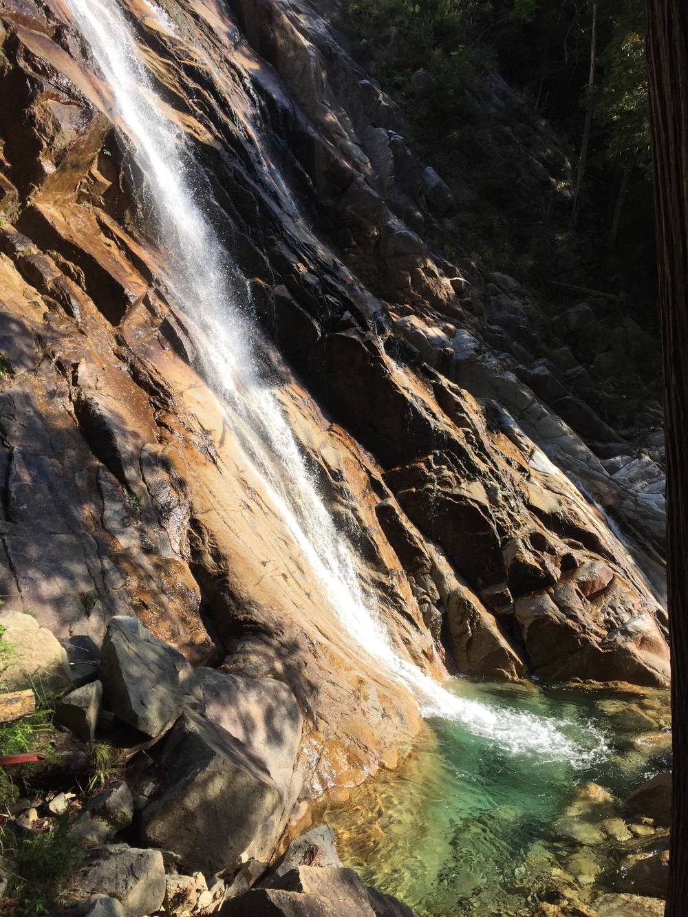 湯の山温泉、トレイルランの写真3