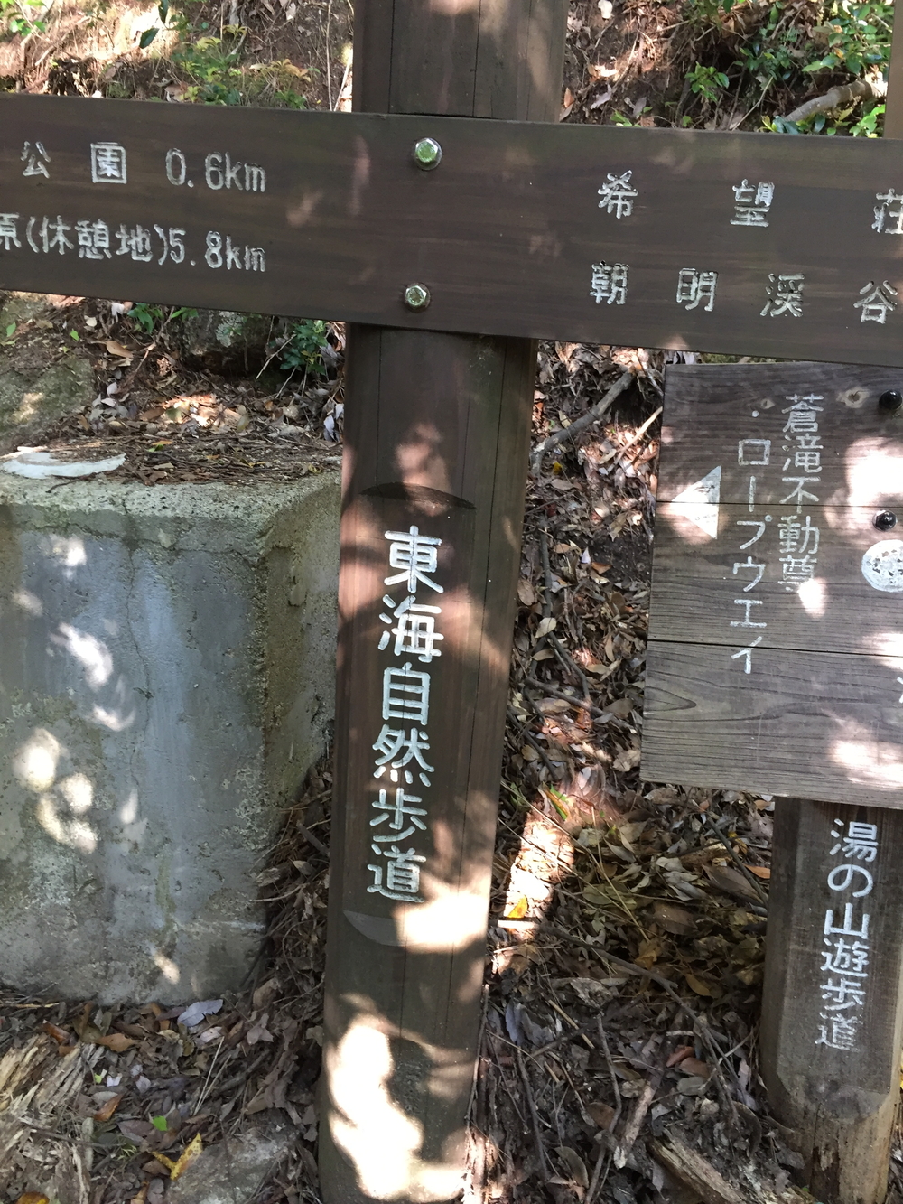 湯の山温泉、トレイルランの写真4