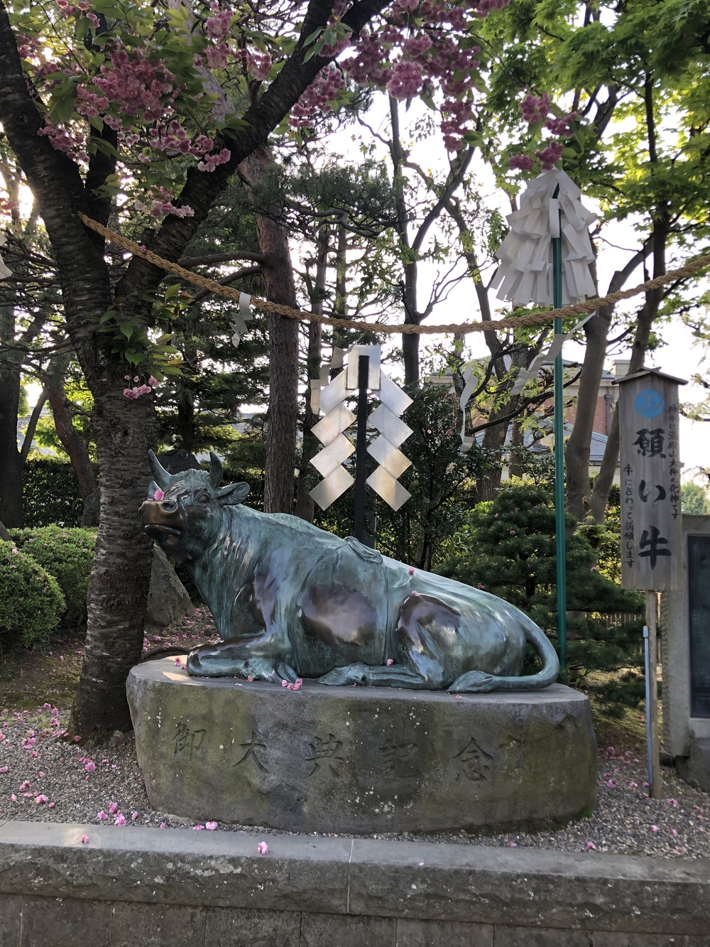 山形市内一周コースの写真3