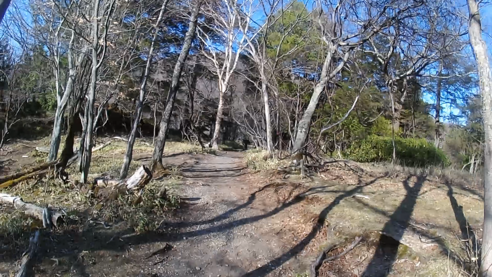 奥日光湯元温泉から湯ノ湖、湯滝、戦場ヶ原ハイキングコースを１２キロの写真3