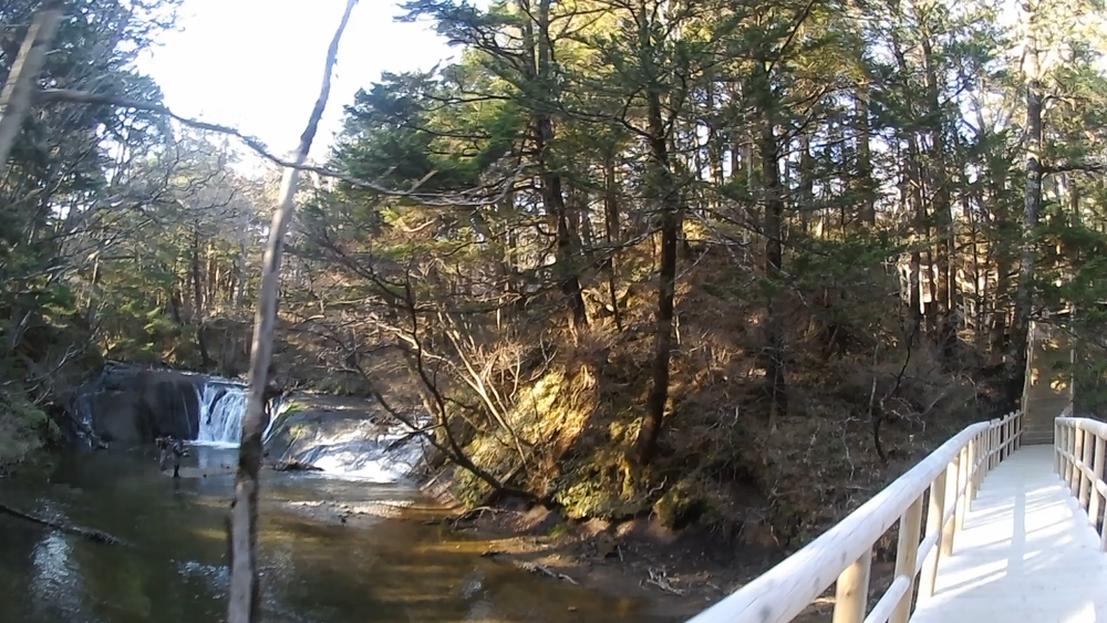 奥日光湯元温泉から湯ノ湖、湯滝、戦場ヶ原ハイキングコースを１２キロの写真5