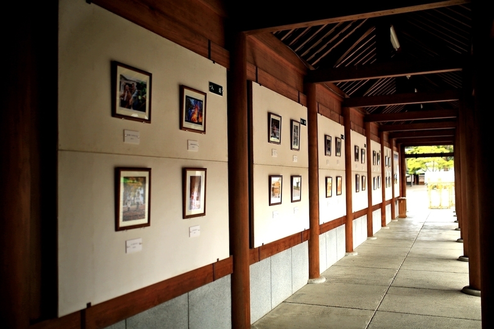 札幌観光地巡り10kmコースの写真6