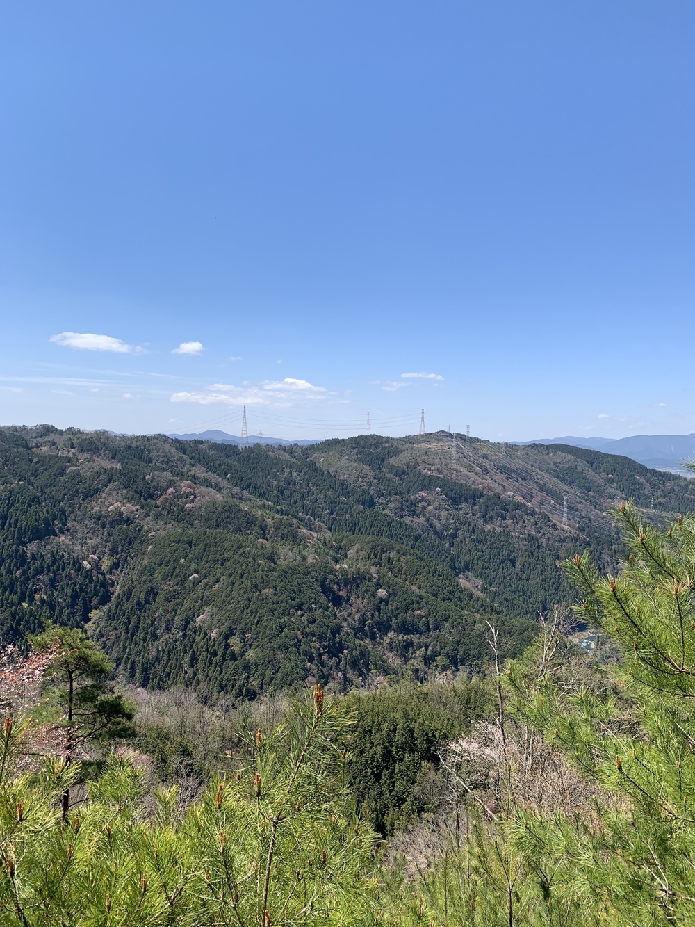 京都西山周回15キロのトレイルコースの写真3