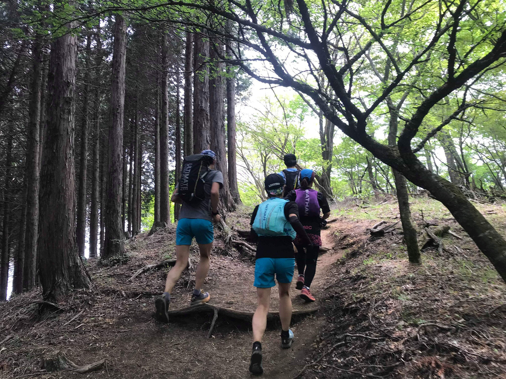 元・大山パンケーキランの写真3