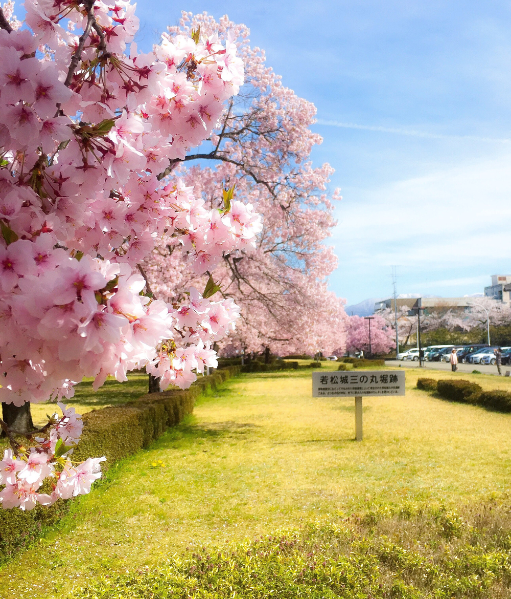 名城  会津若松城〜鶴ケ城〜ランの写真3