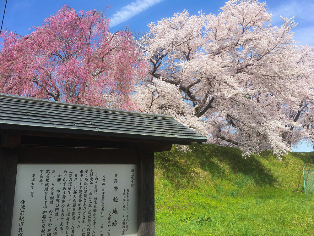 名城  会津若松城〜鶴ケ城〜ランの写真4