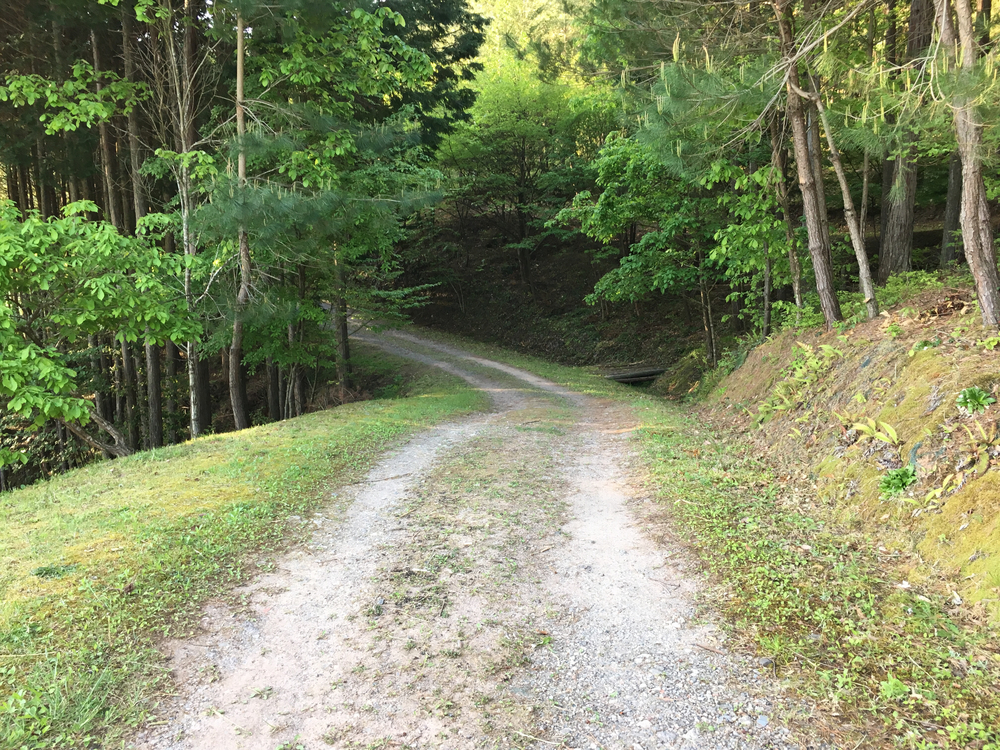 ここ一箇所でロード、トレイル、登山までの写真3