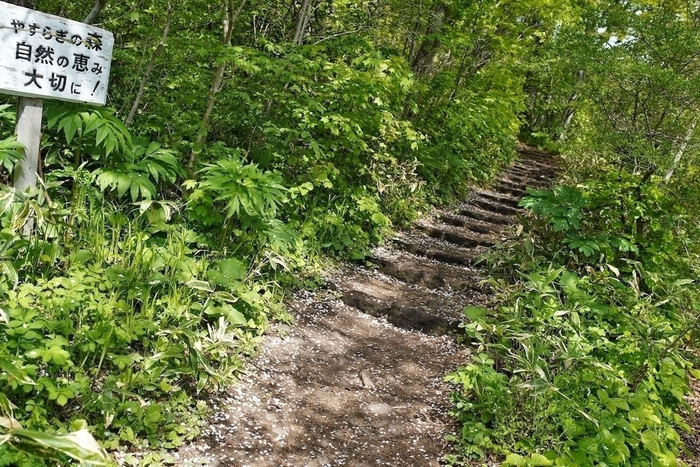 昼夜ともに楽しめる函館観光コースの写真6