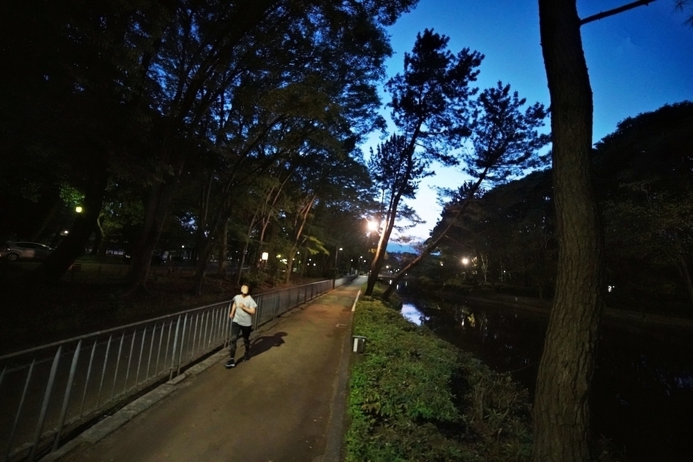 1周1.3km・名城公園周回コースの写真3